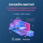 Как увеличить продажи на OZON и на сайте интернет-магазина